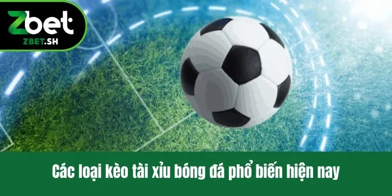 Các loại kèo tài xỉu bóng đá thu hút lượng lớn người chơi