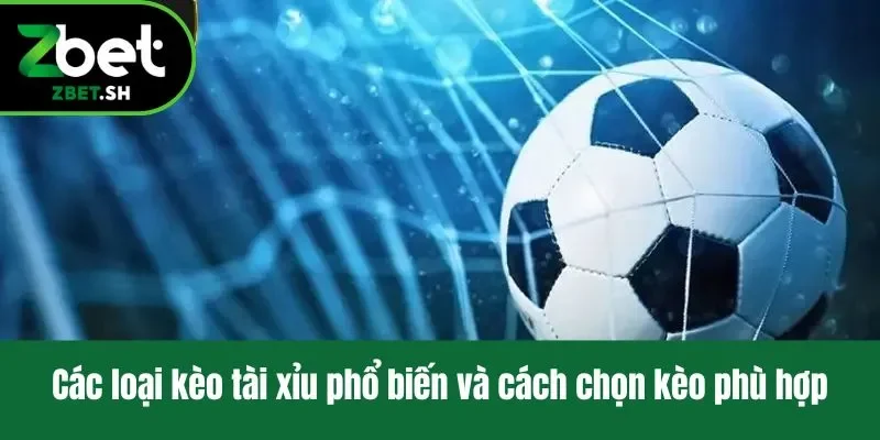 Các loại kèo tài xỉu phổ biến và cách chọn kèo phù hợp