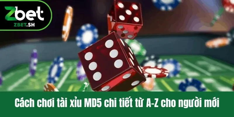 Cách chơi tài xỉu MD5 chi tiết từ A-Z cho người mới