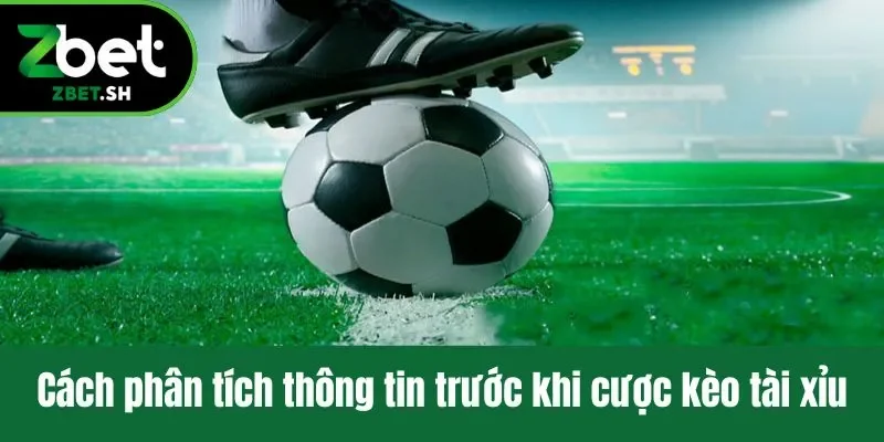 Cách phân tích thông tin trước khi cược kèo tài xỉu