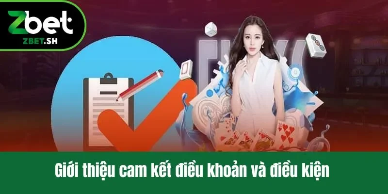 Giới thiệu cam kết điều khoản và điều kiện