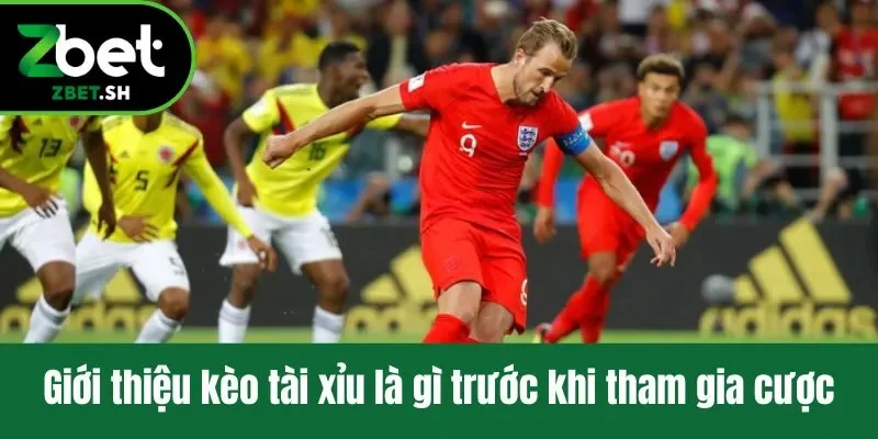 Giới thiệu kèo tài xỉu là gì trước khi tham gia cược