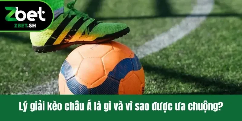 Lý giải kèo châu Á là gì và vì sao được ưa chuộng?