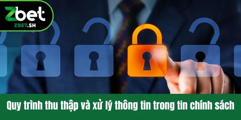 Quy trình thu thập và xử lý thông tin trong tin chính sách