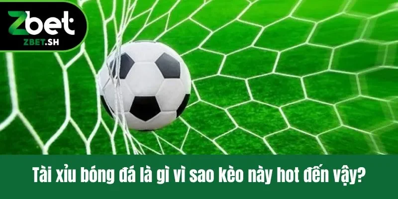 Tài xỉu bóng đá là gì vì sao kèo này hot đến vậy?