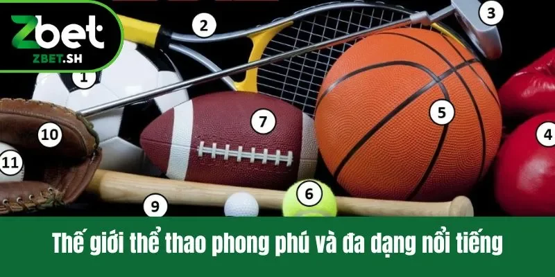 Thế giới thể thao phong phú và đa dạng nổi tiếng