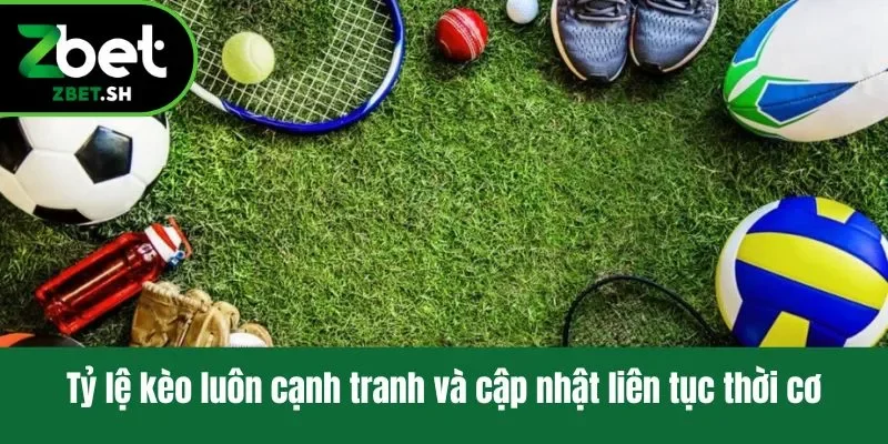 Tỷ lệ kèo luôn cạnh tranh và cập nhật liên tục thời cơ